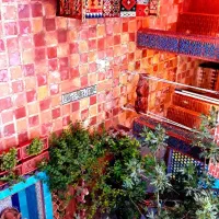 خانه مسافر ( اقامتگاه سنتی )|اجارهٔ کوتاه‌مدت آپارتمان و سوئیت|شیراز, بالا کفت|دیوار