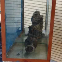 آکواریوم بزرگ باسنگ قیمت توافقی|ماهی|جم, |دیوار