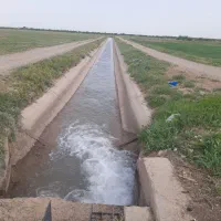 زمین کشاورزی (فروش فوری)