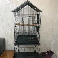 قفس کاسکو کاکادو عروس