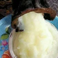 روغن و کشک گوسفندی و عسل طبیعی