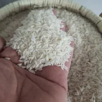 برنج هاشمی فوق ممتاز