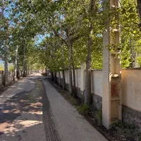 زمین-با-سند-و-انشعابات-در-بهترین-کوچه-باغ-کلاردشت