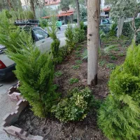 خدمات باغبانی گلکاری تعویض خاک گلدون باغچه کاری|خدمات باغبانی و درختکاری|تهران, تجریش|دیوار