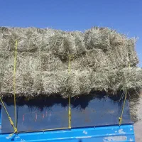 علف|لوازم جانبی حیوانات|اردبیل, |دیوار