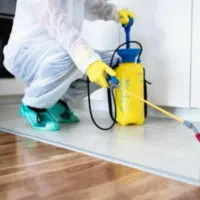 گروه سمپاشی(شبانه روزی)سم پاشی/موریانه ساس سوسک|خدمات نظافت|اهواز, کیانشهر|دیوار