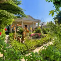 ویلا باغ مشجر 445 متری Sرسبز درختان مرکبات