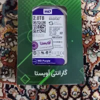 هارد 2 ترابایت وسترن دیجیتال بنفش|قطعات و لوازم جانبی رایانه|رباط‌کریم, رباط‌کریم|دیوار