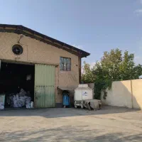 استخدام نیروی کار جوان