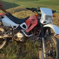 تریل جی وای پیشرو  xl کراس