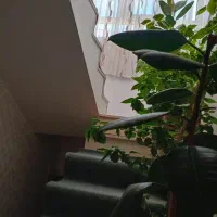 فروش منزل مسکونی|فروش خانه و ویلا|مرند, |دیوار