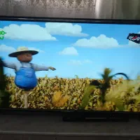 تلوزیون جی پلاس۴۳ اینچ