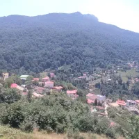 زمین شیرگاه برنجستانک بشل چاکسرفرامرزکلاه اندرگلی|فروش زمین و ملک کلنگی|شیرگاه, |دیوار