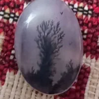 دوتا سنگ شجرکلکسیونی