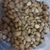 بادام شیرین|خوردنی و آشامیدنی|قم, انسجام|دیوار