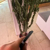 16pro max 256|موبایل|تهران, مدائن|دیوار