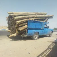 خریدچوب‌ودرخت