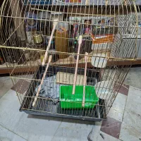 قفس فلزی بزرگ