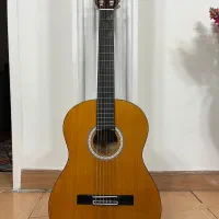 گیتار آریا AKN-15N