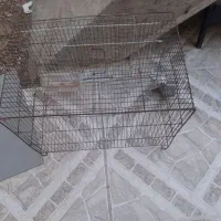 قفس .لانه و وسایل پرنده