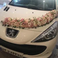 گل عروس|گل و گیاه طبیعی|خمینیشهر, |دیوار