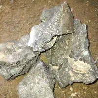 شهاب سنگ|کلکسیون اشیاء عتیقه|زاهدان, |دیوار