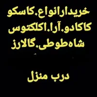 طوطی سالم کاسکو پر کن صاف همه رقم