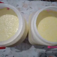 ماست محلی