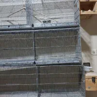 قفس بزرگ دست ساز|لوازم جانبی حیوانات|شاهینشهر, شهرک گلدیس|دیوار