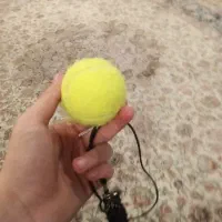 توب  تمرین بوکس