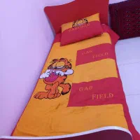 تخت و کمد نوجوان ..|تخت و سرویس خواب|شاهرود, |دیوار