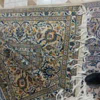 فرش|فرش|پاکدشت, پاکدشت (مامازند)|دیوار