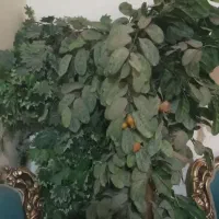 درختچه مصنوعی بزرگ