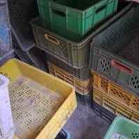 سبد محکم|ظروف نگهدارنده، پلاستیکی، یک‌بارمصرف|گرمسار, |دیوار