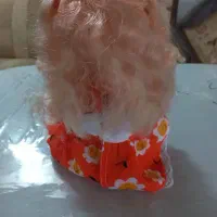 عروسک آوازخان|اسباب‌بازی بچه|آمل, |دیوار