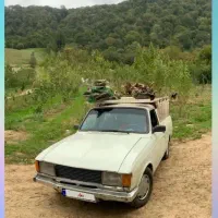 پیکان وانت مدل 84 بنزینی