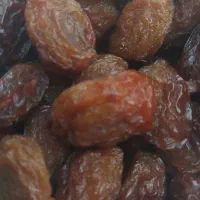 الو  و به و کشمش آفتابی ارزان|خوردنی و آشامیدنی|یزد, |دیوار