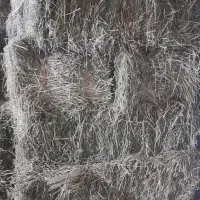 فروش یونجه بسته|لوازم جانبی حیوانات|کنگاور, |دیوار