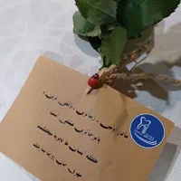 پیاده روی کسی میاد