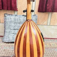 عود زریاب1 مدل شامی(2022)
