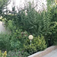 باغچه-600متری