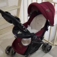 کالسکه ی تاشودلیجان