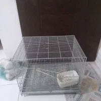 قفس پرنده
