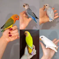 جوجه کوتوله خوشمزه های دوس داشتنی کوچولو