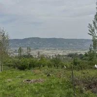 ۲۰۰۰ متر زمین باغ میوه ویودار در بابلکنار|فروش دفتر صنعتی، کشاورزی، تجاری|بابل, |دیوار