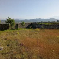 باغ-نزدیک-جنگل