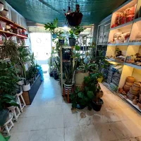 واگذاری اجناس مغازه گلفروشی گیاهان آپارتمانی|گل و گیاه طبیعی|کرج, حسین‌آباد|دیوار