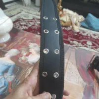 کمربند بدنسازی|تجهیزات ورزشی|هشتگرد, شهرک ولیعصر (مهستان)|دیوار