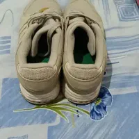 کتونی اکومنت|کیف، کفش، کمربند|پاکدشت, پاکدشت (مامازند)|دیوار