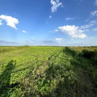 اجاره زمین کشاورزی